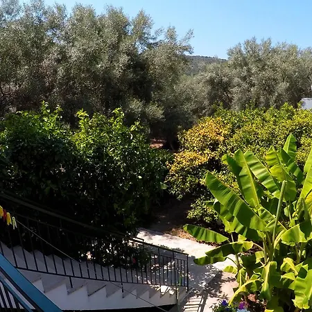 Zacharogianni Apartamento *