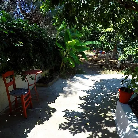 Zacharogianni * Nikiána